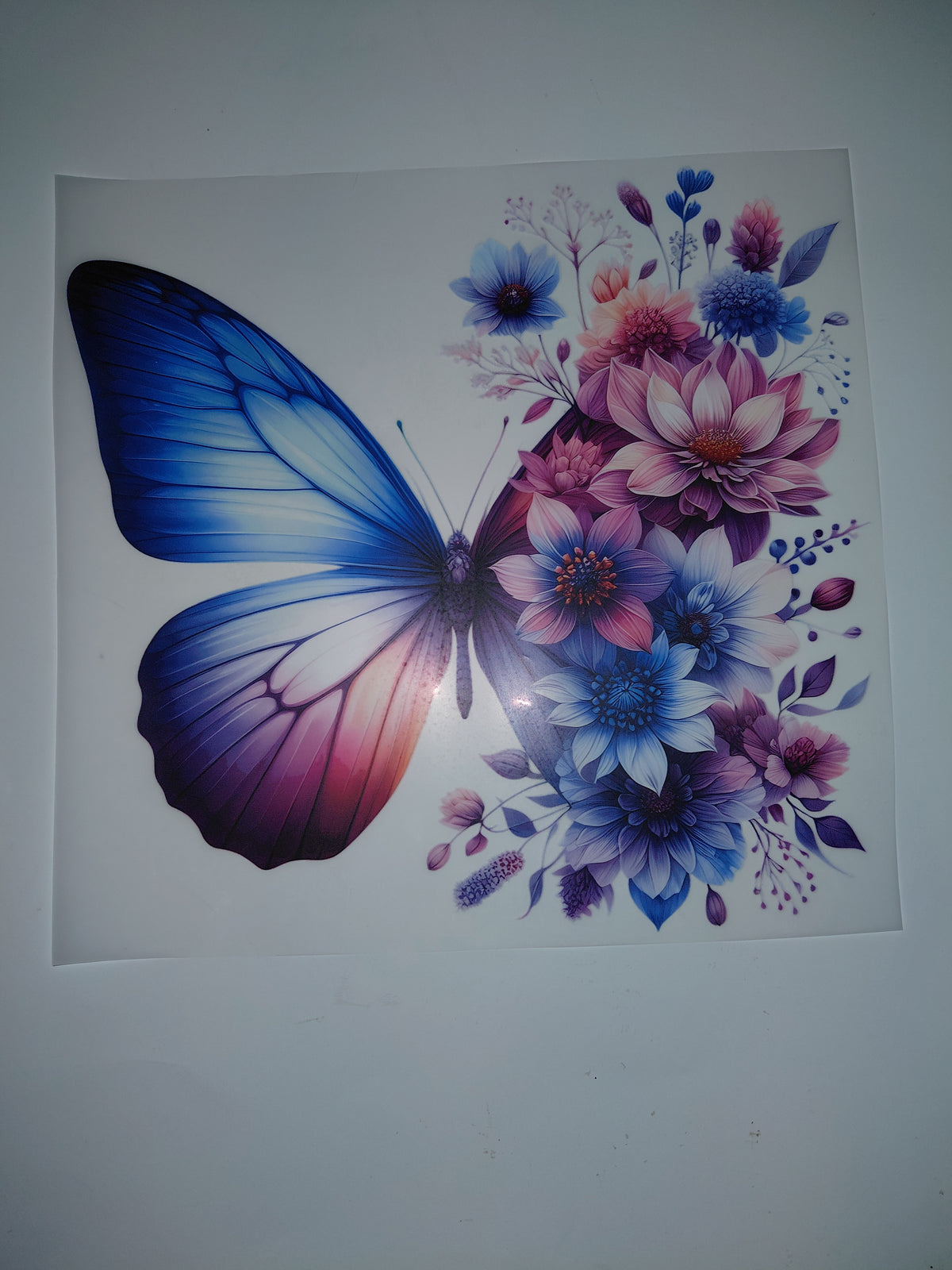 Butterfly and flowers