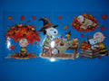 8060