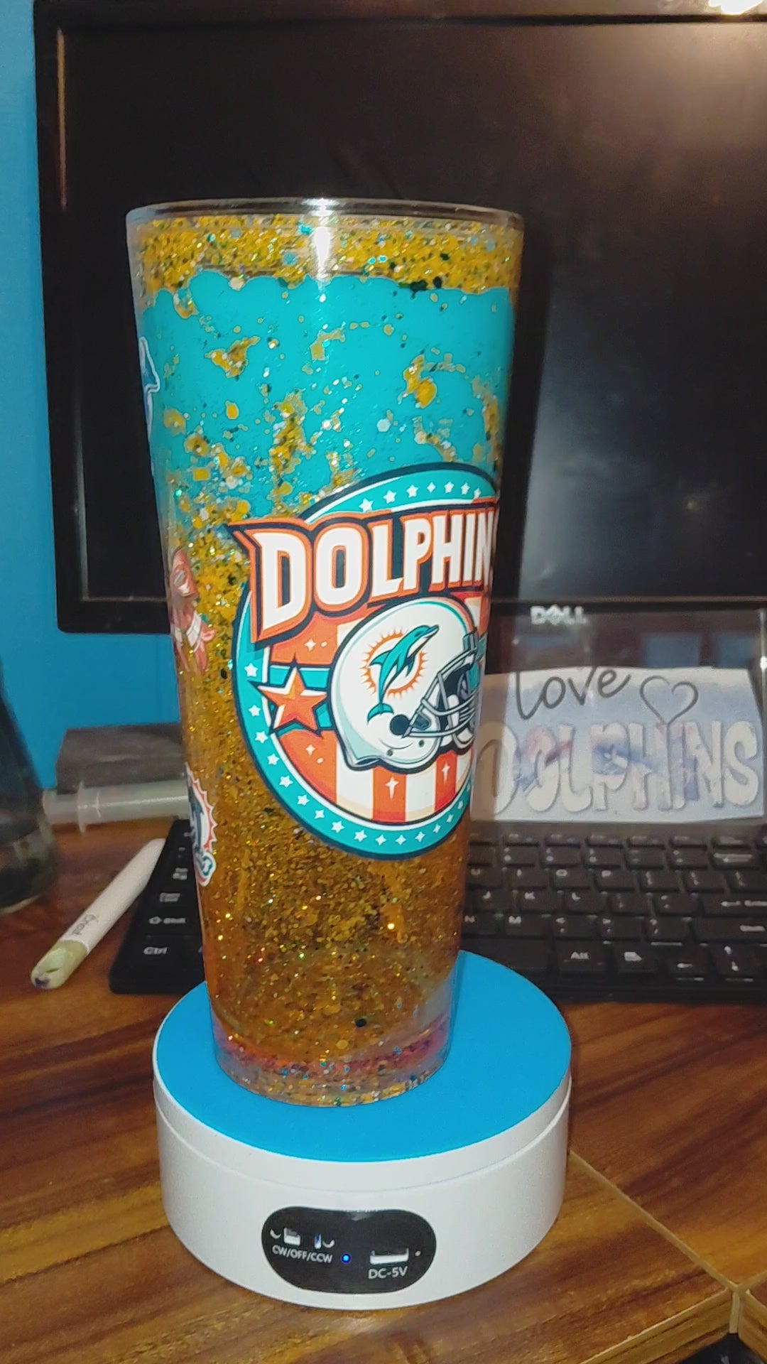 24oz Dolphins lava snowglobe